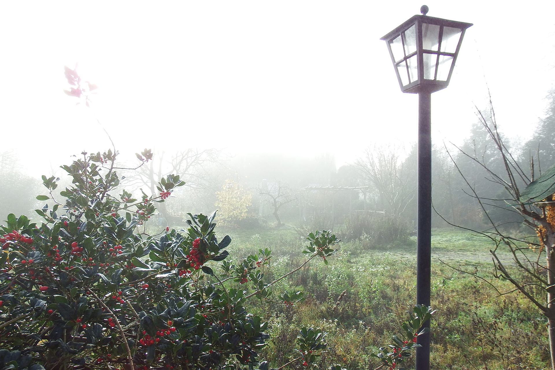 Herbststimmung