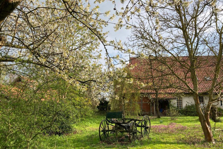 Frühlingsidylle