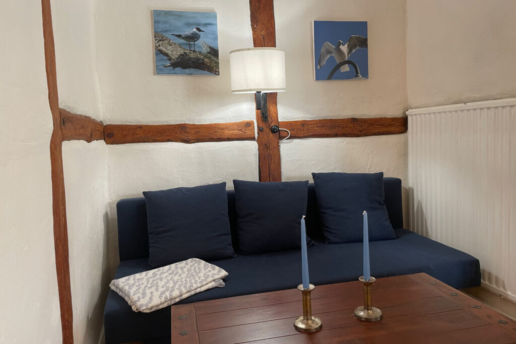 Schlafcouch im Wohn-Esszimmer